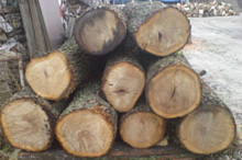 Brennholz Doege - Brennholzwissen